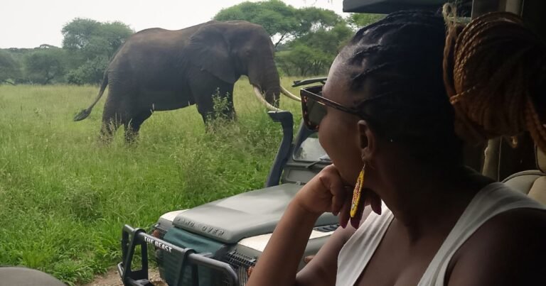 Why Tarangire National Park Deserves a Spot on Your Tanzania Safari Itinerary